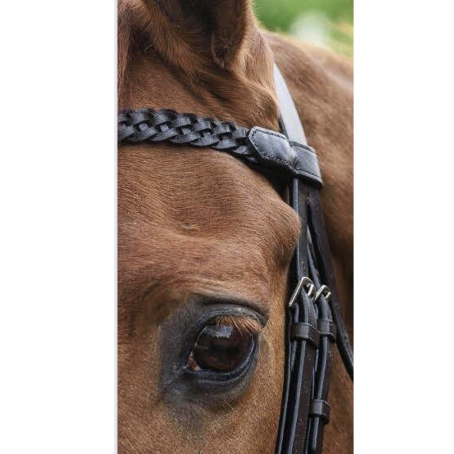 Eco rider plaited browband – Linneys Equestrian